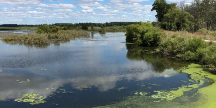 Shiawassee National Wildlife Refuge