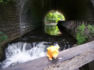 Corbett's Glen Nature Park