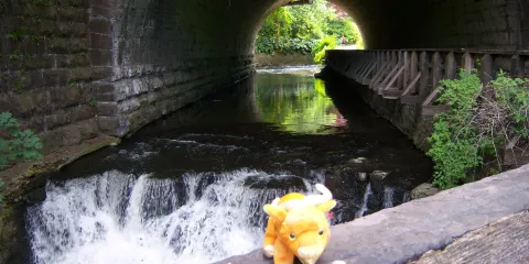 Corbett's Glen Nature Park