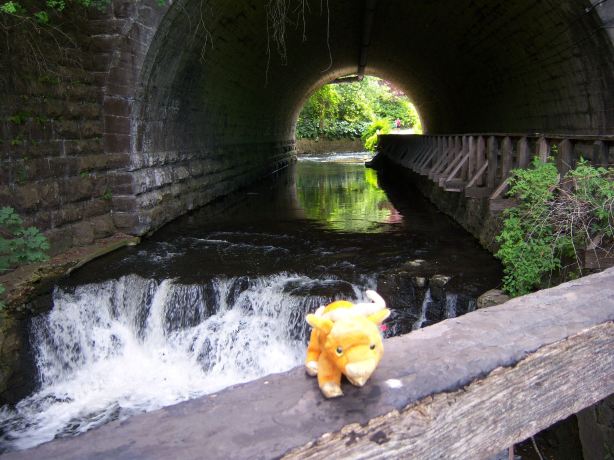Corbett's Glen Nature Park