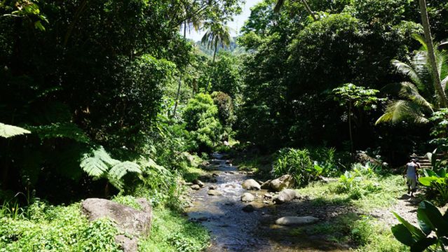 New Jerusalem Mineral Baths