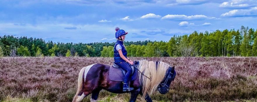 Cannock Chase Trekking Centre