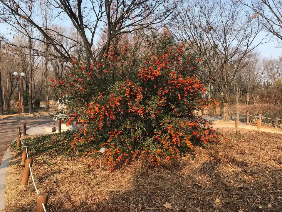 3_Daegu Arboretum