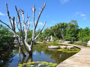 Leon Levy Native Plant Preserve