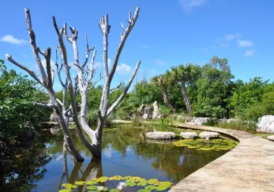 Leon Levy Native Plant Preserve