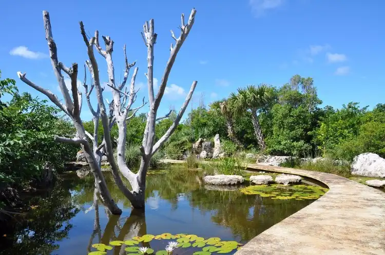 Hotels near Leon Levy Native Plant Preserve