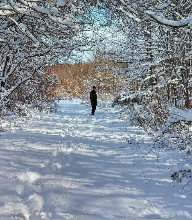 Plainsboro Township