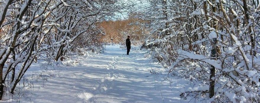 Plainsboro Preserve
