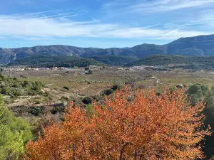 Cuevas de la Villa