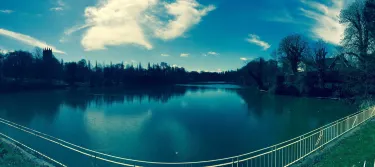 Lymm Dam