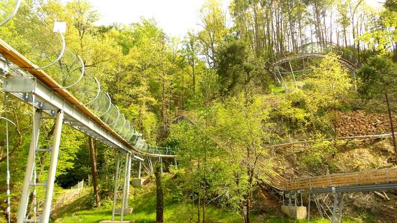 Smoky Mountain Alpine Coaster