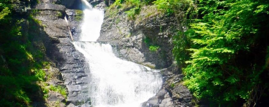Raymondskill Falls
