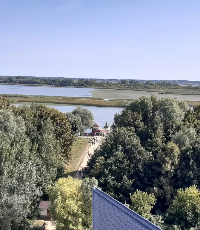 Фюзешабоньский яраш