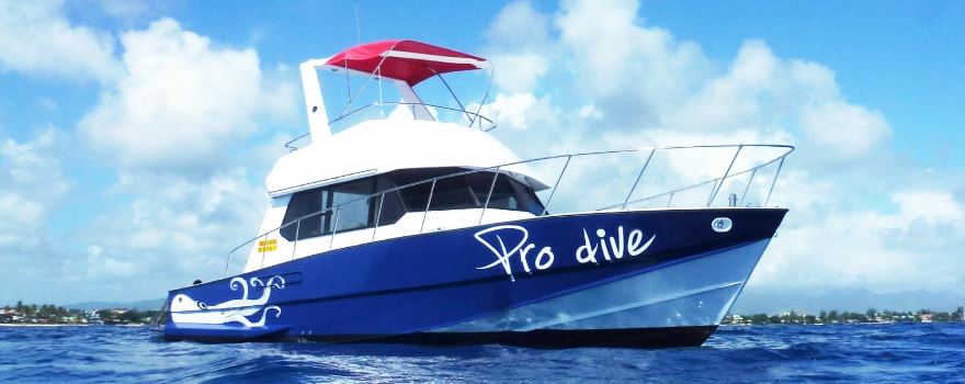 Pro Dive Mauritius