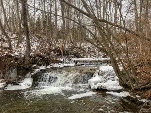 Silver Creek Conservation Area