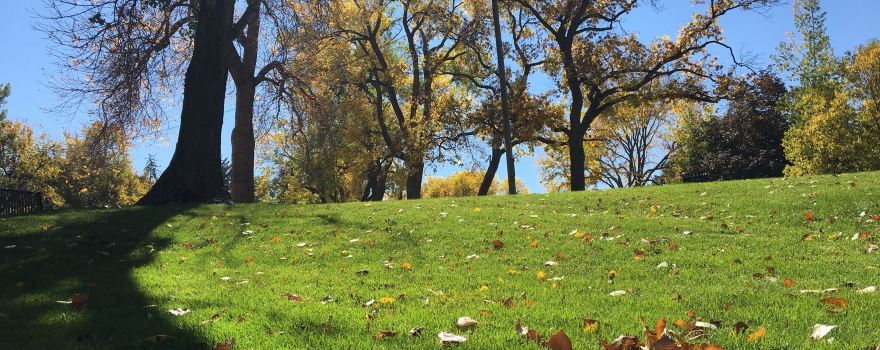 Glenmere Park