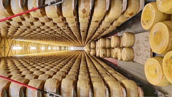 4 Madonne Caseificio dell'Emilia