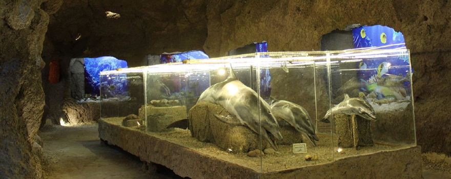 Lebanese Marine and Wildlife Museum