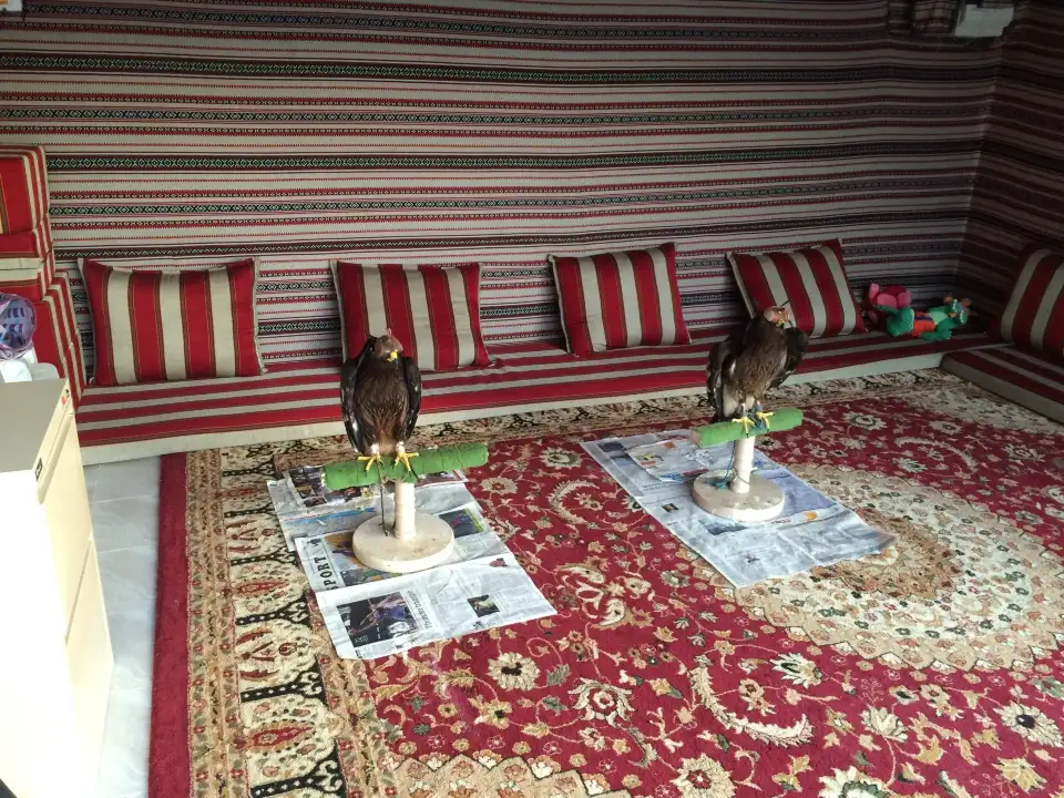4_Ras Al Khaimah Zoo