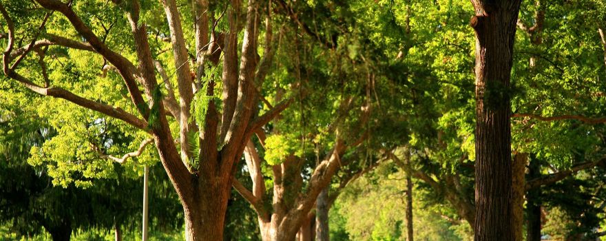 Queens Park Toowoomba