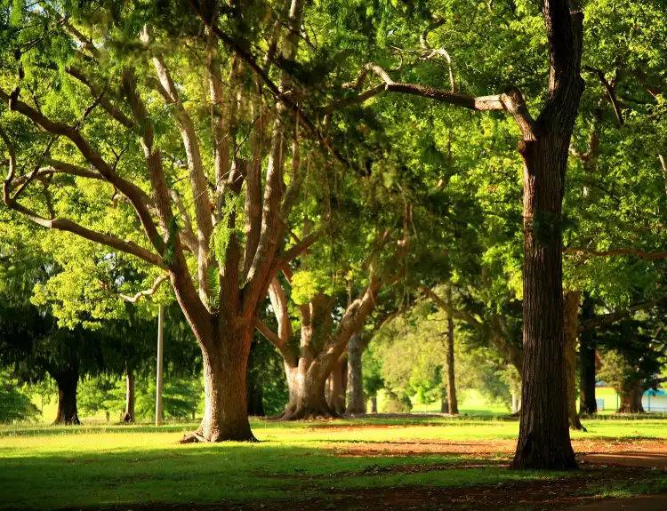 Hôtels à : East Toowoomba