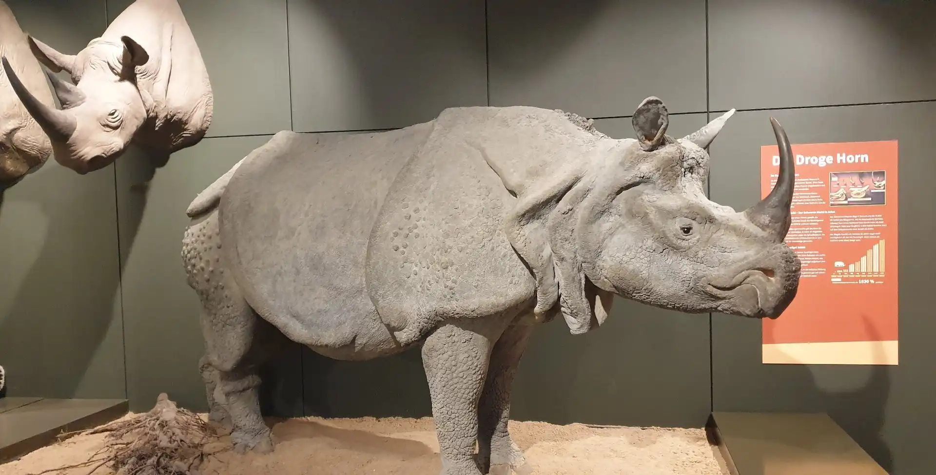 Hoteles cerca de Zoologisches Museum