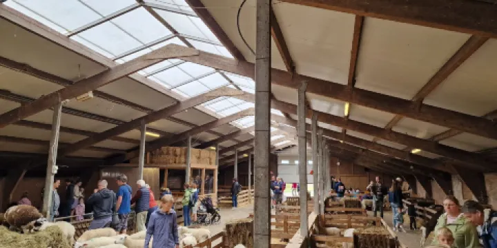 Schapenboerderij Texel