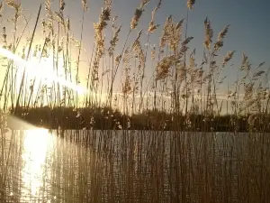 Parcs Maugrand et Saint Louis