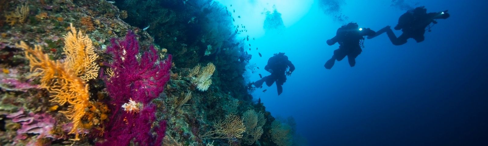 Opcina KomizaTur Satu Hari