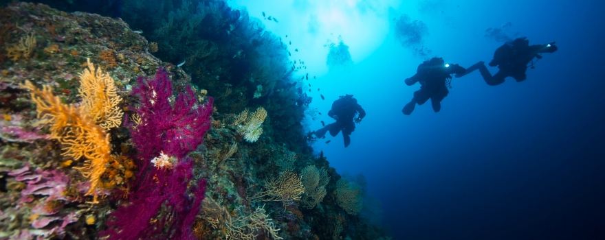 B-24 Diving Center-Komiža-Vis-Croatia