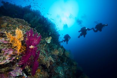 B-24 Diving Center-Komiža-Vis-Croatia