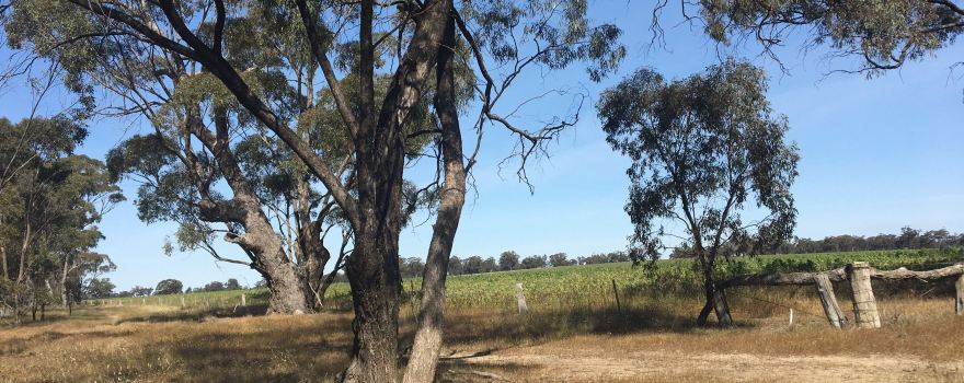 Barrabool State Forest
