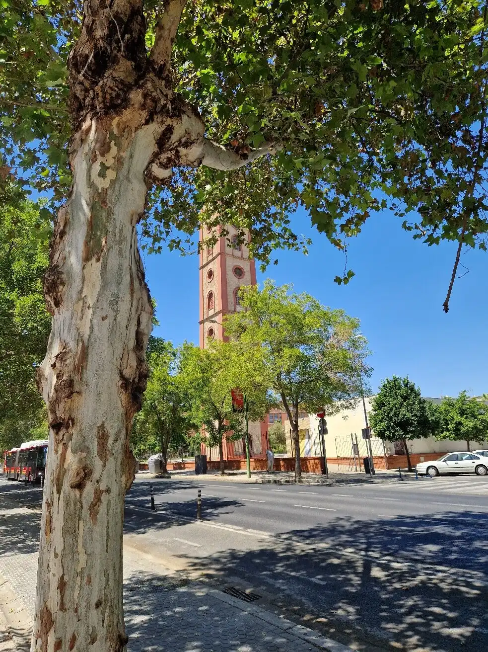 Hotel in zona Torre de los Perdigones