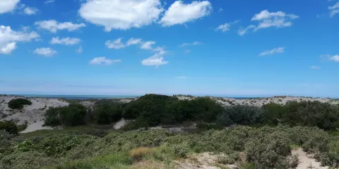 The Dunes of Bredene