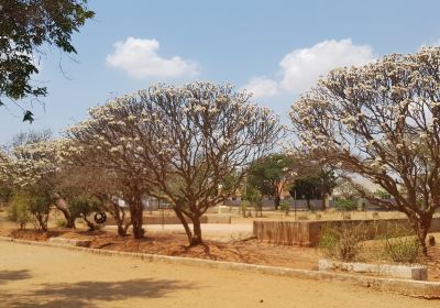 Región de Dodoma
