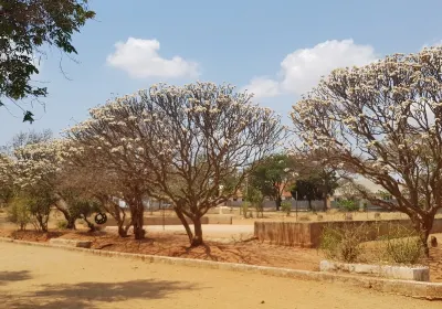 Dodoma