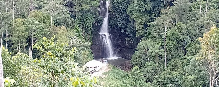 Sarasah Sungai Guntuang