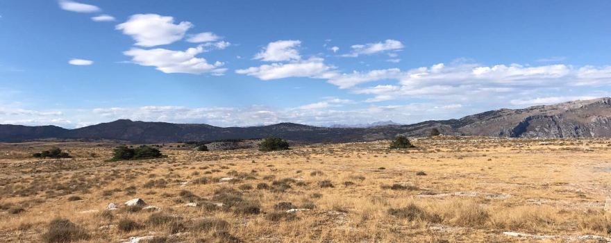 Plateau karstique de Caussols