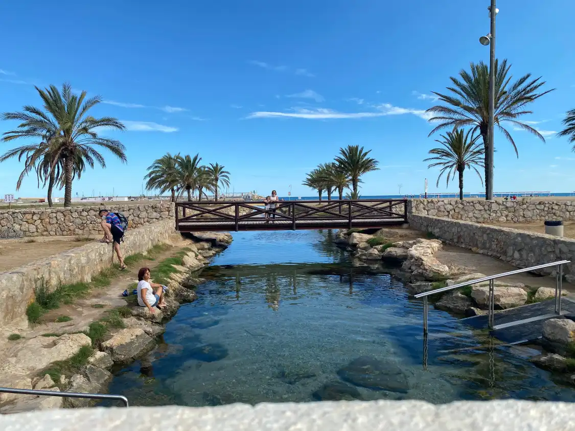 L'Estany i el Riuet附近的飯店