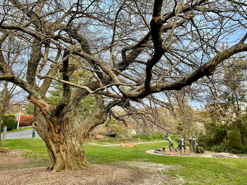 Lilianfels Park