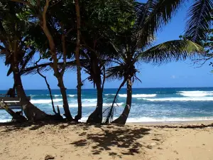Surfer's Beach