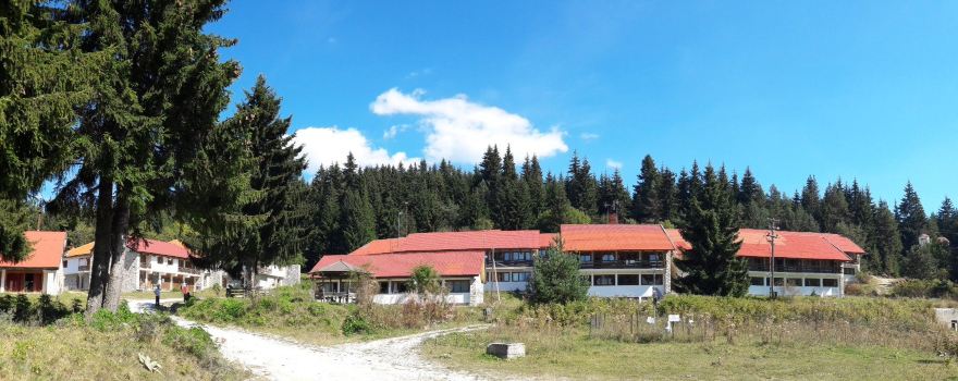 Stravorema