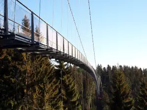 WILDLINE Hängebrücke