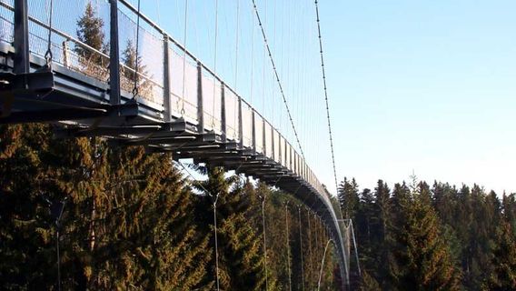 WildLine Hangebrucke