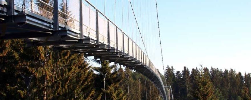 WildLine Hangebrucke