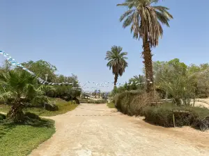 Sapir Park