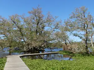 Domaine de Deva