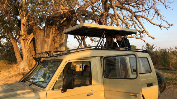 African Pangolin Safaris