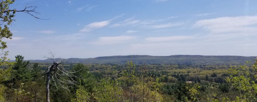 Horse Guard State Park Scenic Reserve