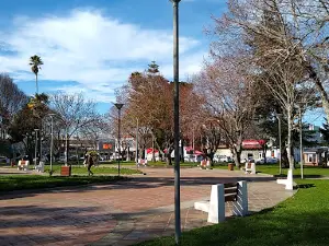 Plaza Central